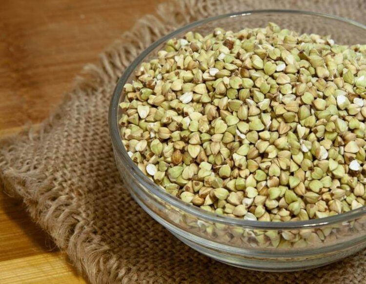 Harm and benefits of buckwheat